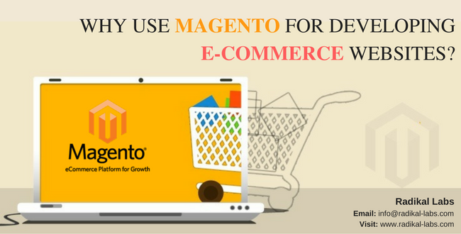 magento ecommerce development